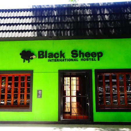 Black Sheep International Hostel Мендоса Экстерьер фото