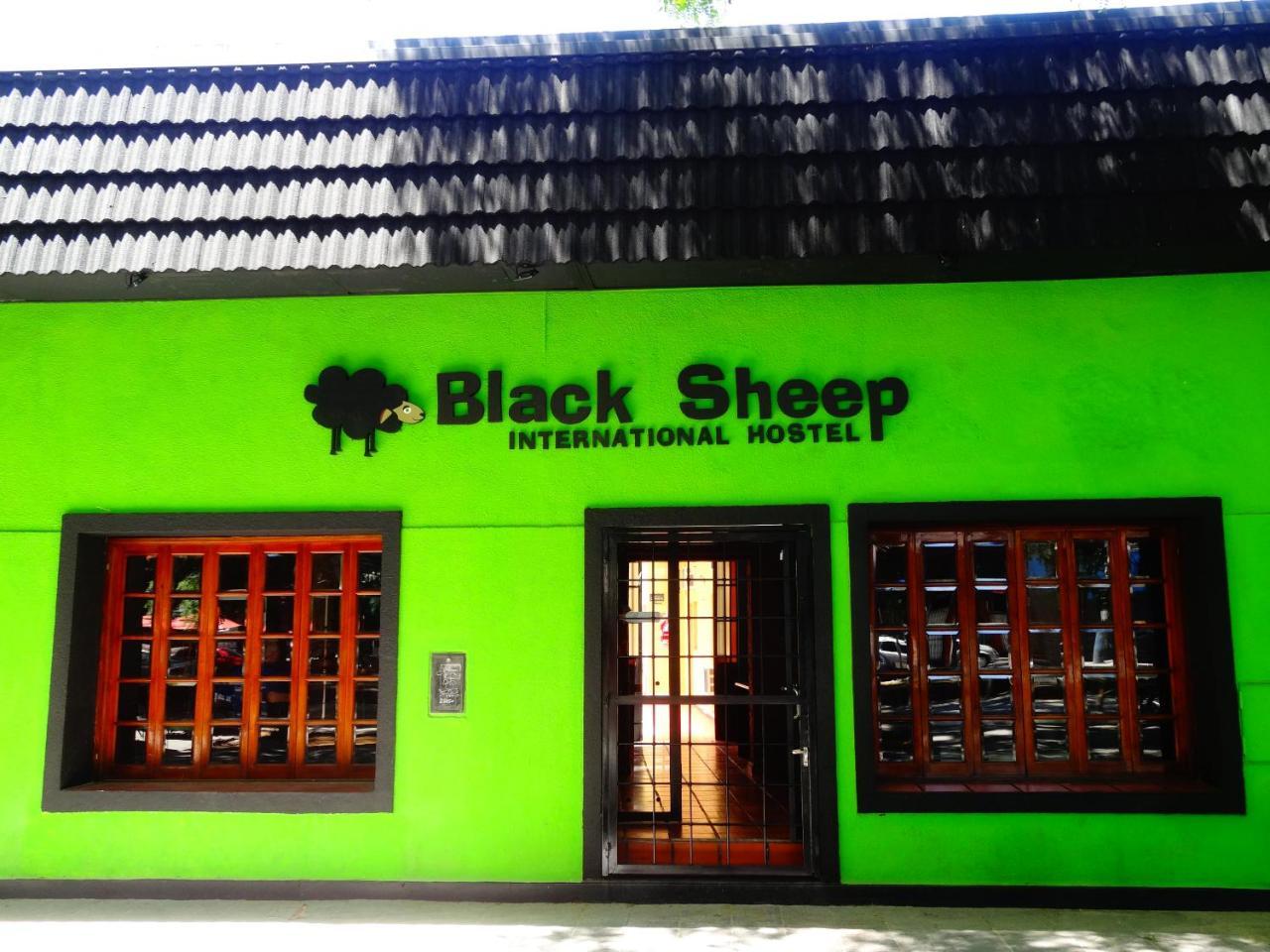 Black Sheep International Hostel Мендоса Экстерьер фото