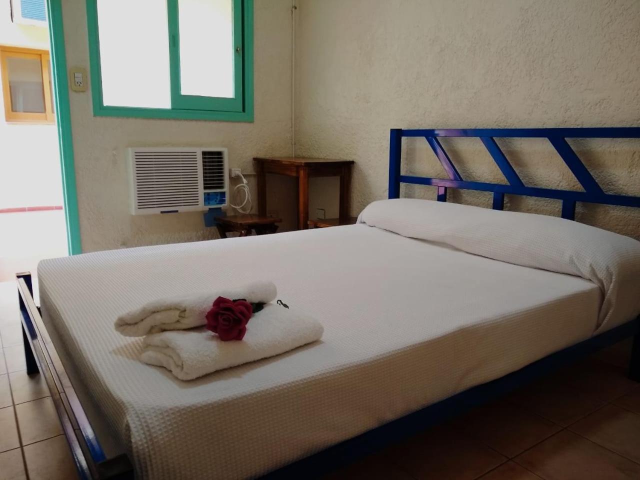 Black Sheep International Hostel Мендоса Экстерьер фото