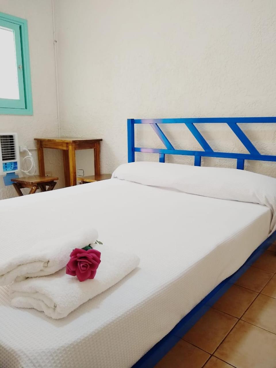 Black Sheep International Hostel Мендоса Экстерьер фото