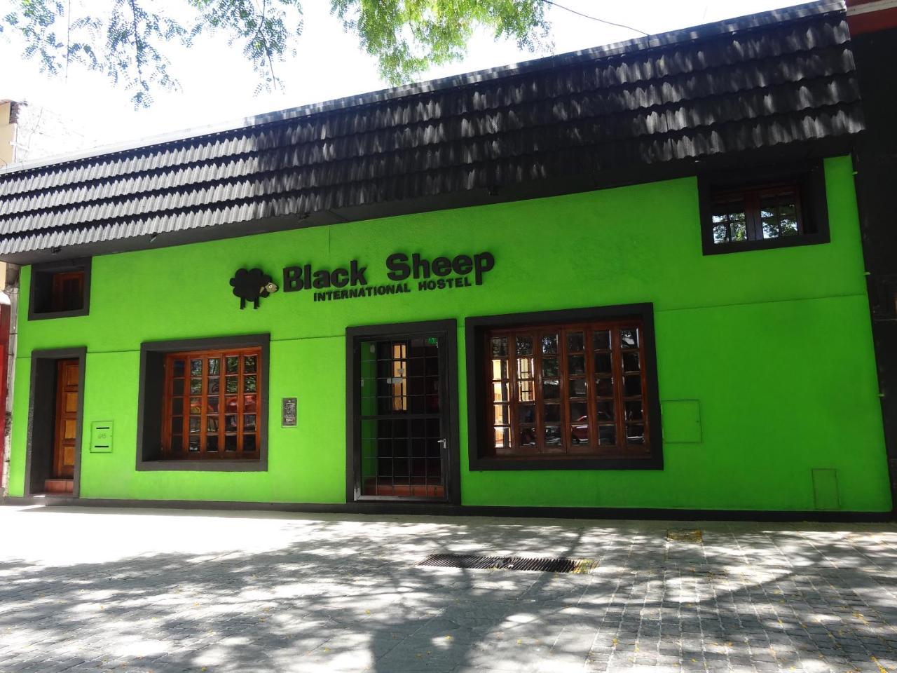Black Sheep International Hostel Мендоса Экстерьер фото